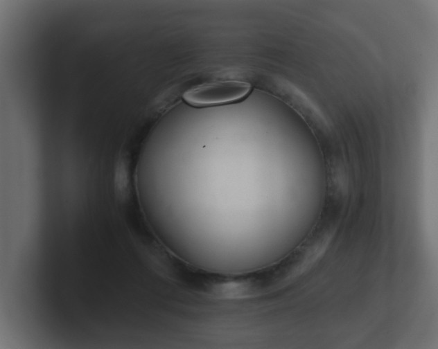 X0000102800312200808251054