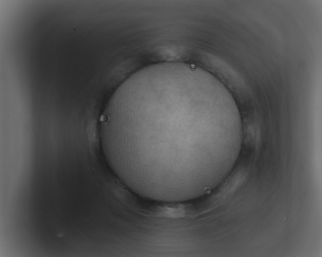 X0000102800317200808251054