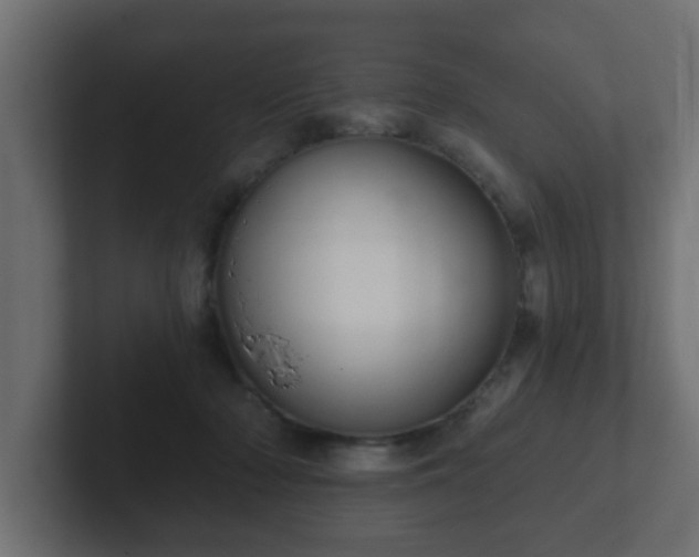 X0000102800318200808251054