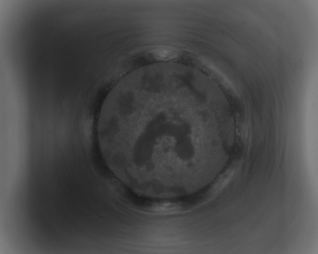 X0000102800319200808251054