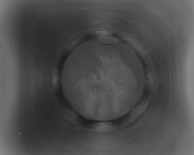 X0000102800320200808251054