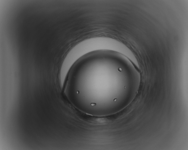 X0000102800324200808251054