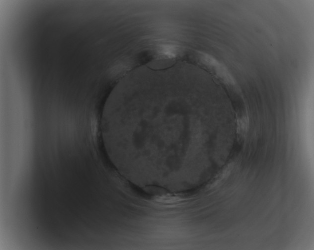 X0000102800331200808251054