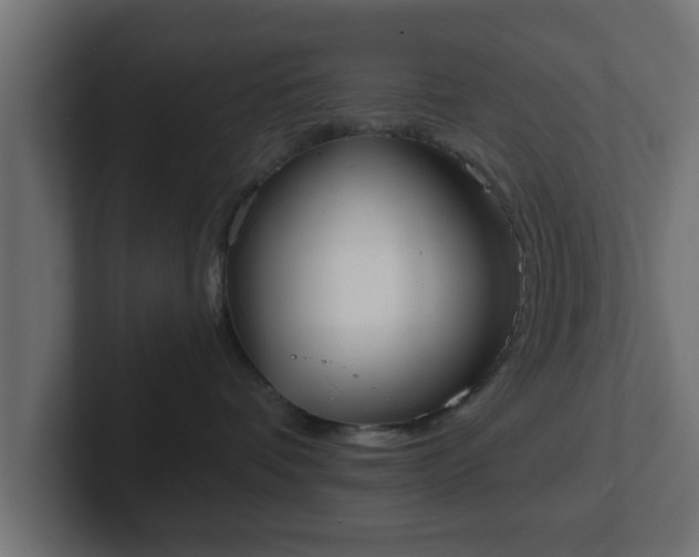 X0000102800336200808251054