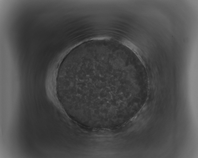 X0000102800337200808251053