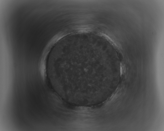 X0000102800339200808251053