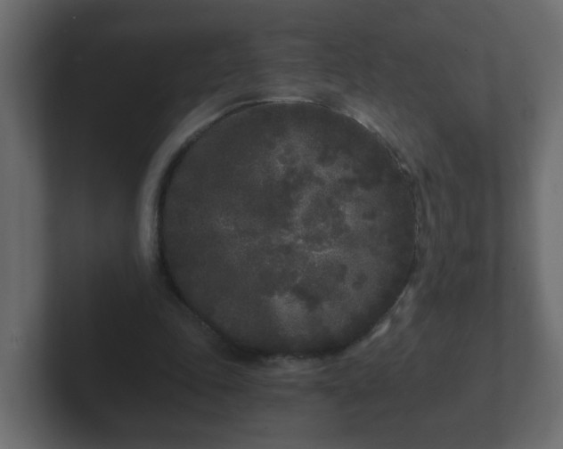 X0000102800343200808251053