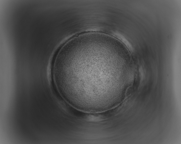 X0000102800346200808251053