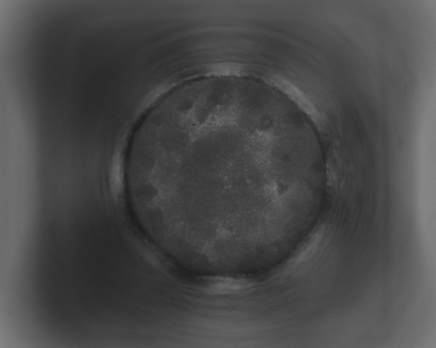 X0000102800347200808251053