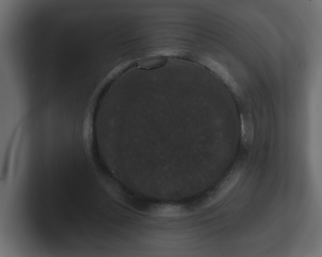 X0000102800348200808251053