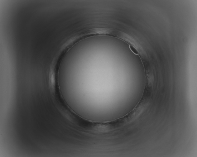 X0000102800350200808251053