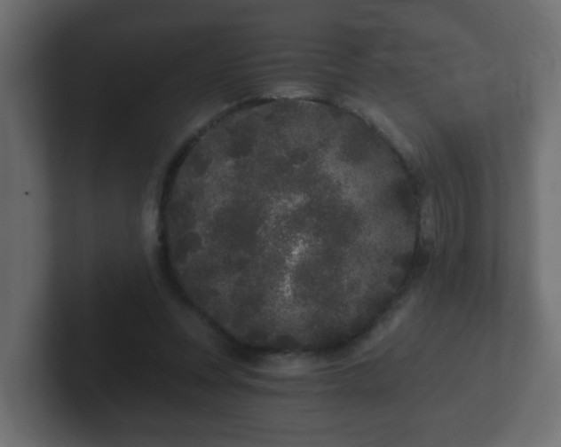 X0000102800351200808251053