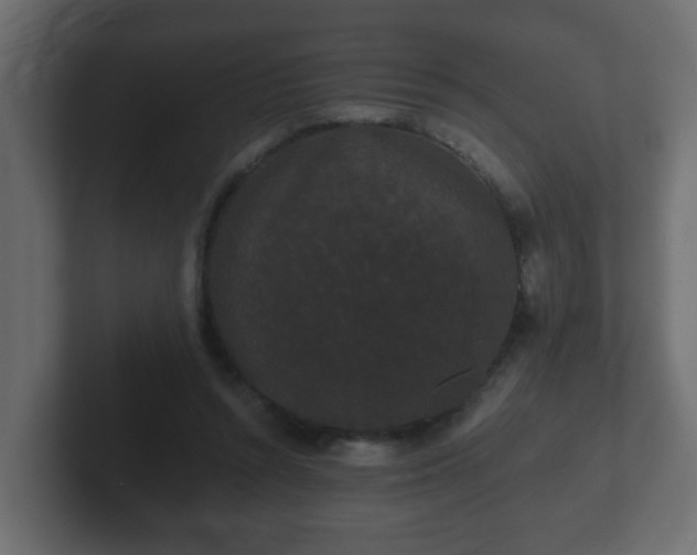 X0000102800352200808251053