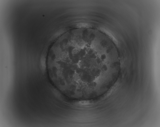 X0000102800353200808251053