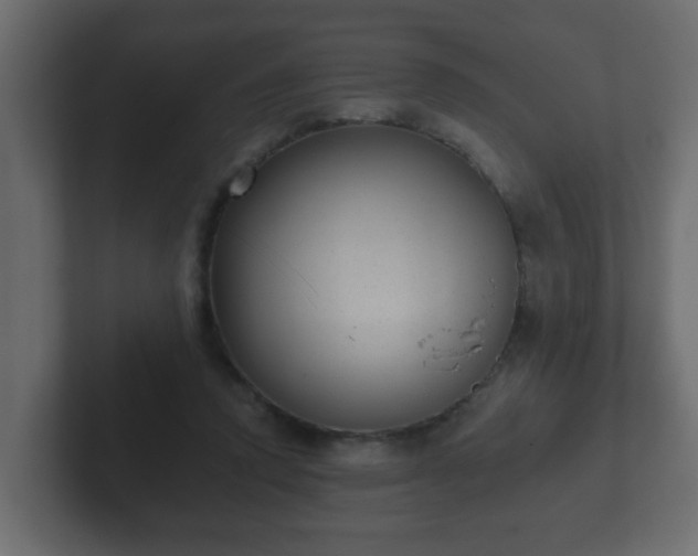 X0000102800354200808251053