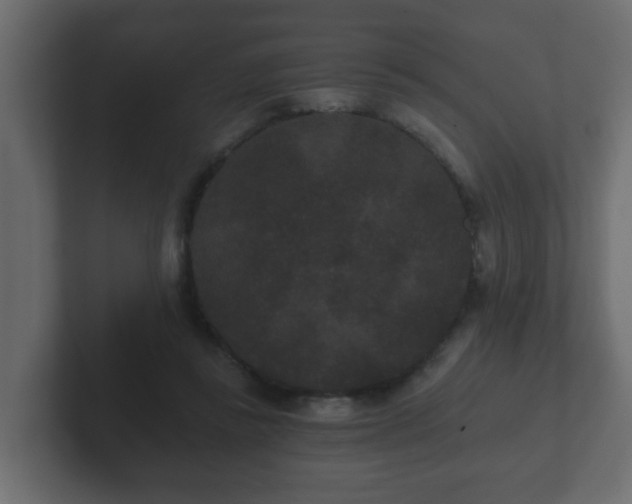 X0000102800355200808251053