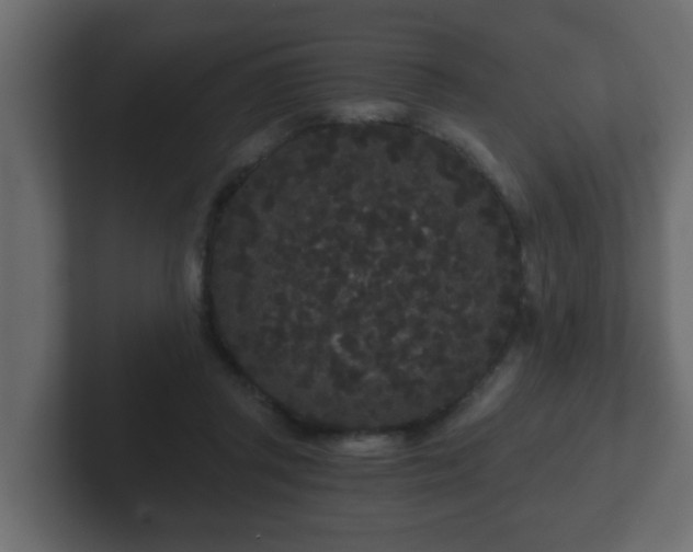 X0000102800357200808251053