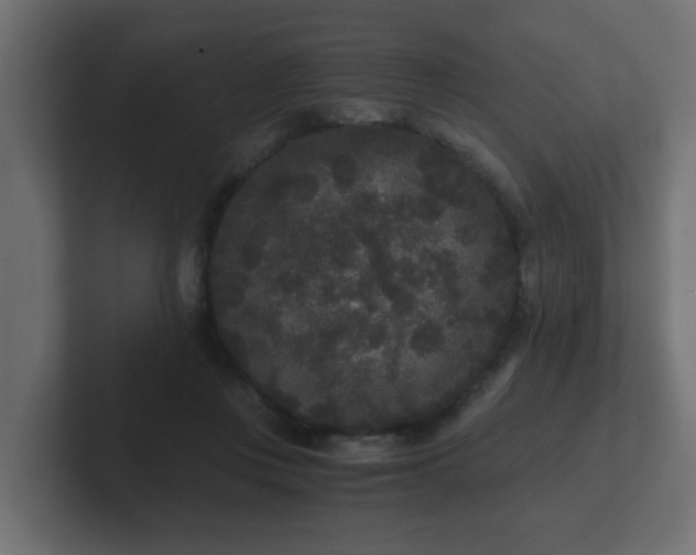 X0000102800359200808251053