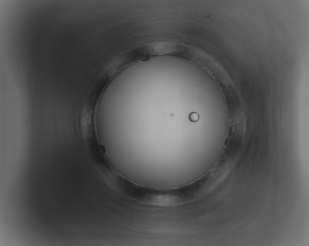 X0000102800360200808251053