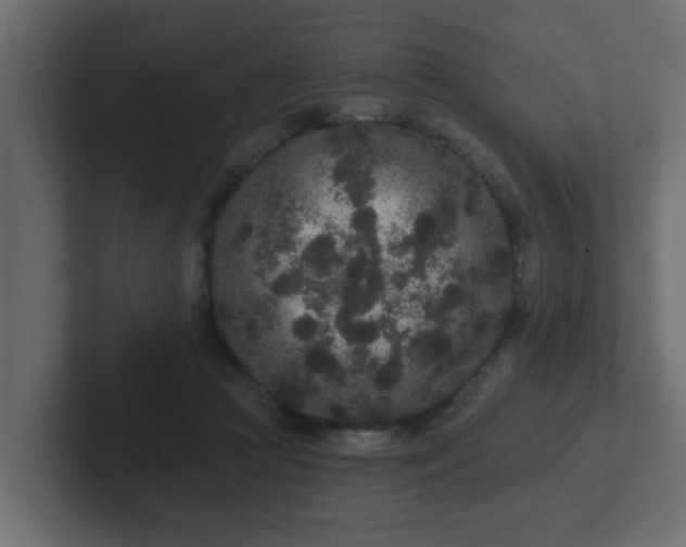 X0000102800361200808251053