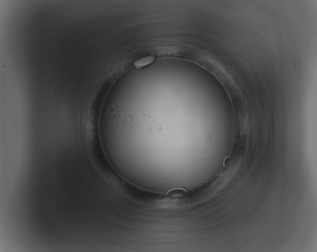 X0000102800362200808251053