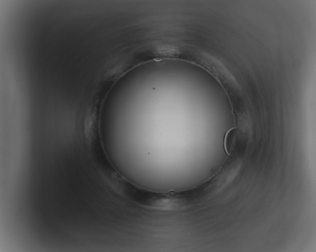 X0000102800364200808251053