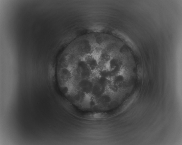 X0000102800365200808251053