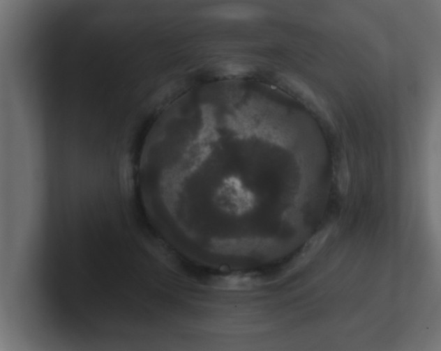 X0000102800366200808251053