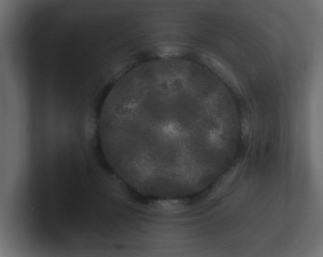 X0000102800367200808251053