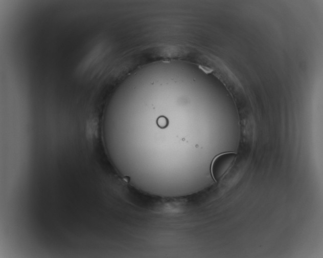 X0000102800368200808251053