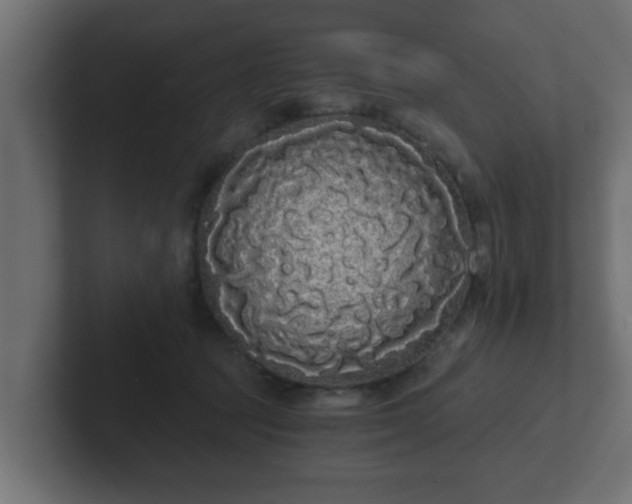 X0000102800369200808251053