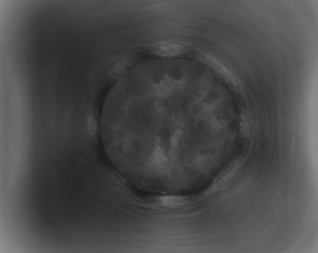 X0000102800371200808251053