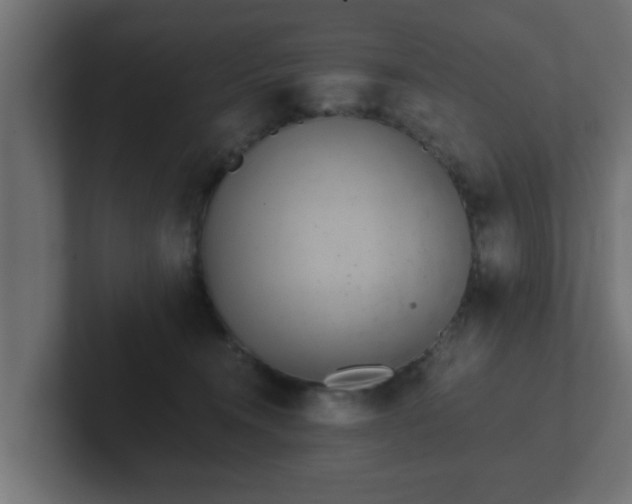 X0000102800372200808251054