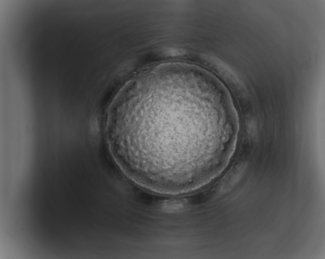 X0000102800373200808251054