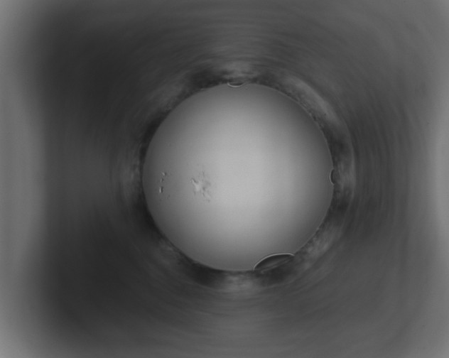 X0000102800376200808251054