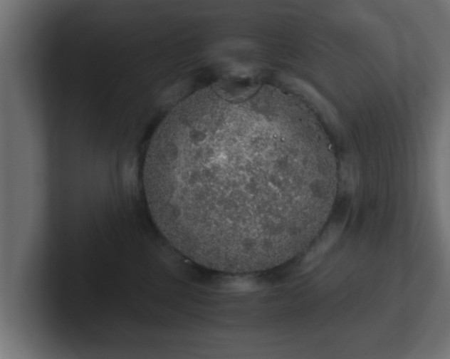 X0000102800377200808251054