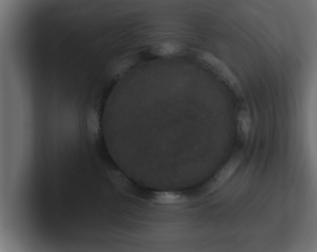 X0000102800380200808251054