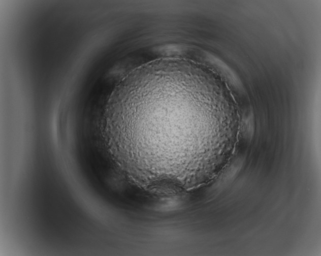 X0000102800381200808251054