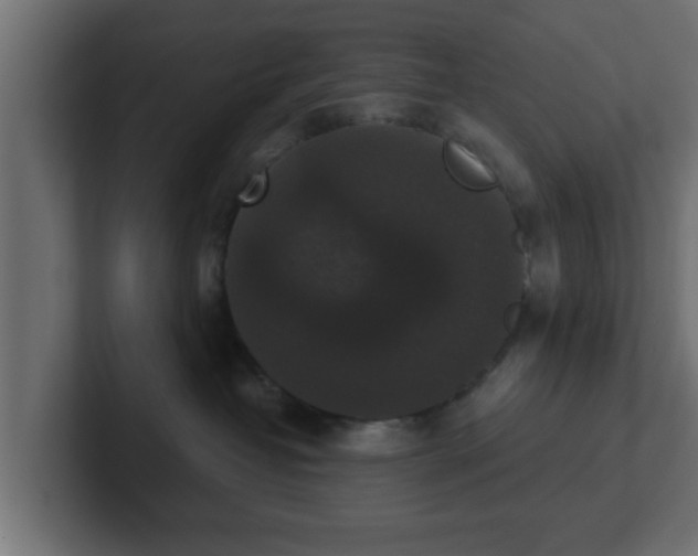 X0000102800382200808251054