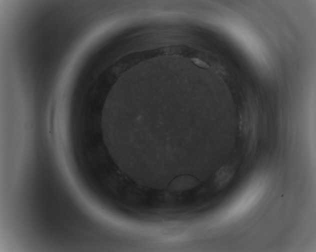 X0000102800383200808251054