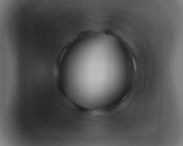 X0000102800384200808251054