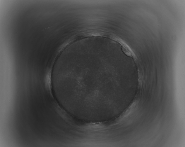 X0000102800386200808251053