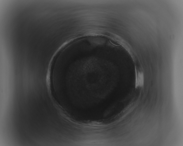 X0000102800387200808251053