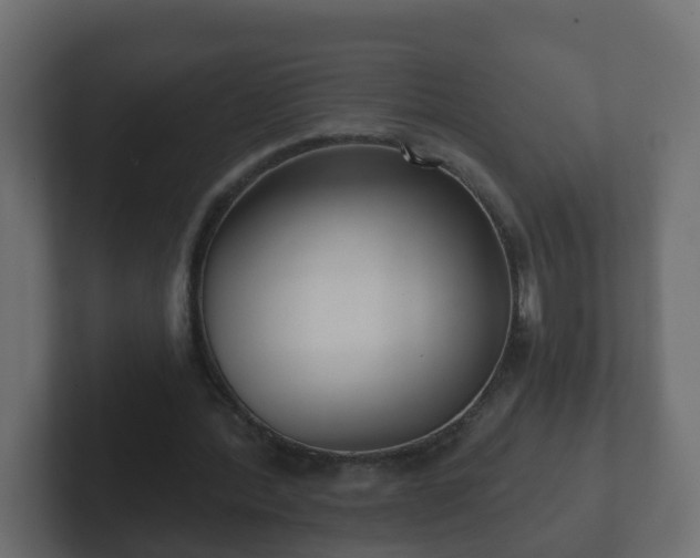 X0000102800388200808251053