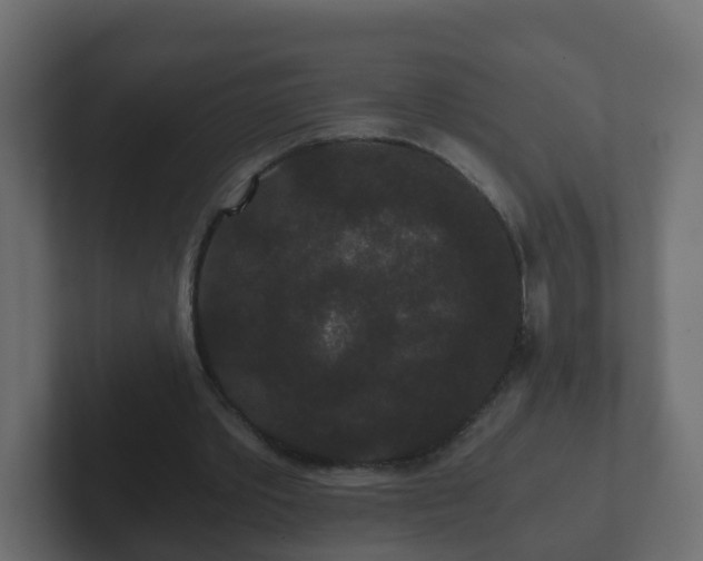 X0000102800389200808251053