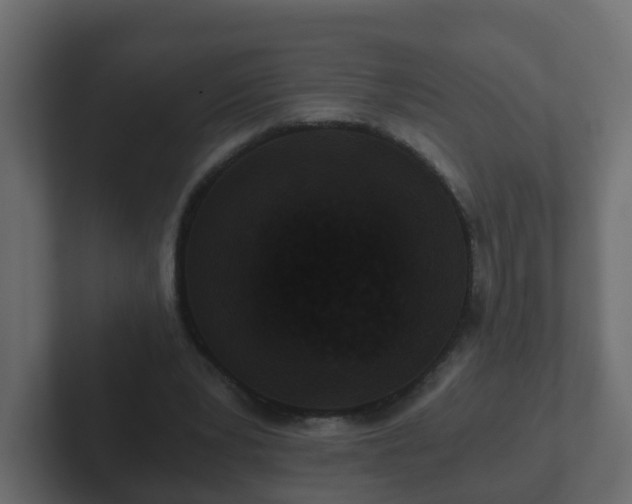 X0000102800391200808251053