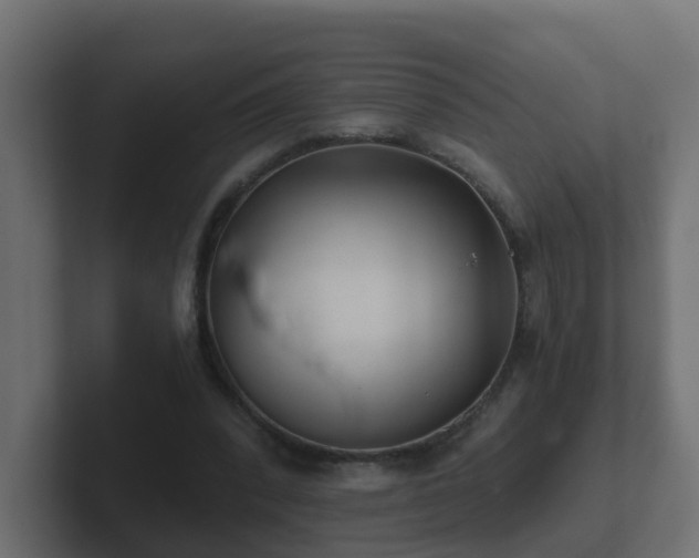 X0000102800392200808251053