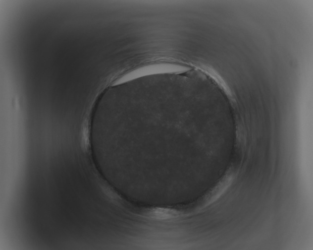 X0000102800393200808251053