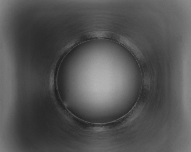 X0000102800394200808251053