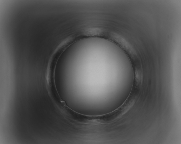 X0000102800396200808251053